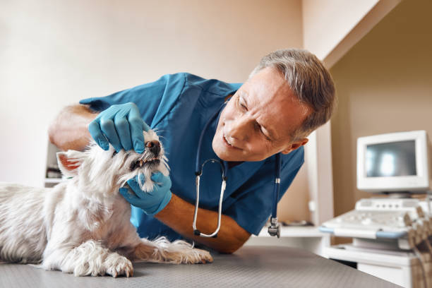 Best Knocked-Out Tooth Emergency  in Union City, OK