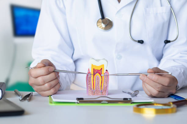 Best Dentist Open Late Near Me  in Union City, OK
